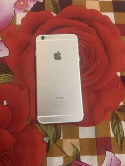iPhone 6 plus everything rigonore 10 by 10
