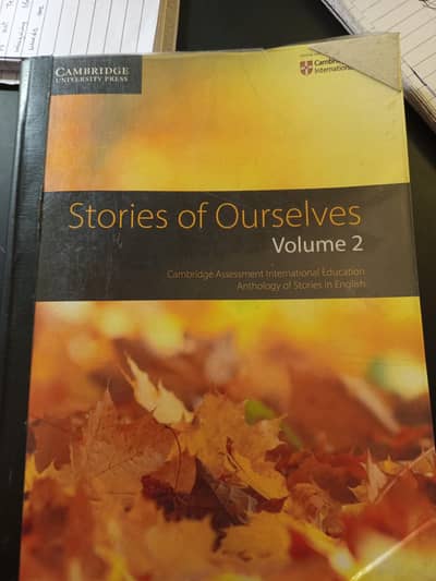 Stories Of Ourselves Volume 2 - All New Condition