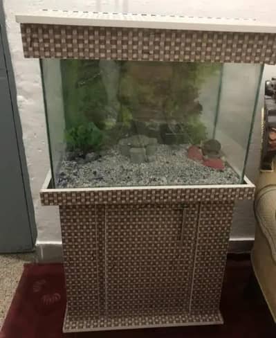 aquarium with all equipment