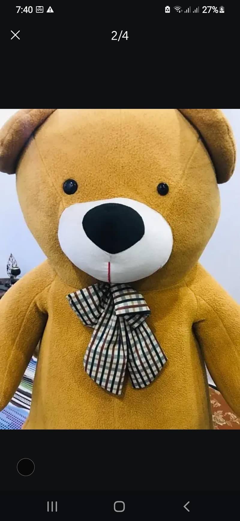 teddy bear 5f" 1