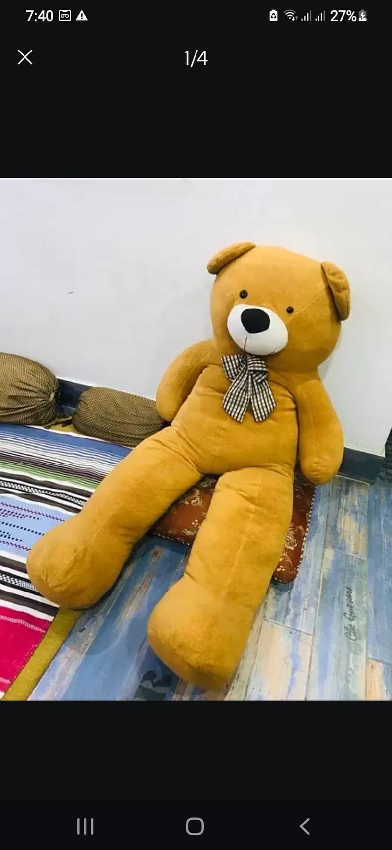 teddy bear 5f" 0