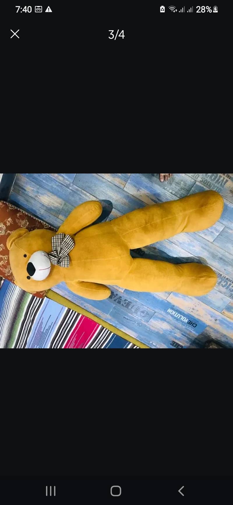 teddy bear 5f" 2