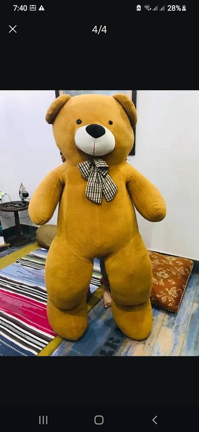teddy bear 5f" 3