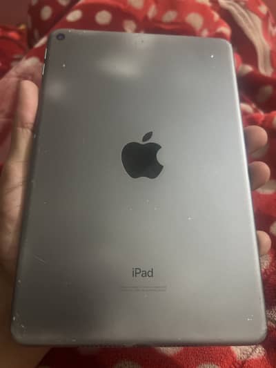 iPad mini5