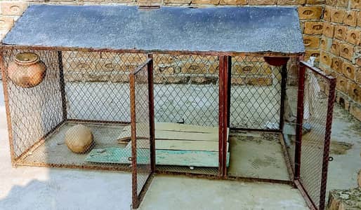 Cage bht acha hy sb thk hy full lohy ki body hy