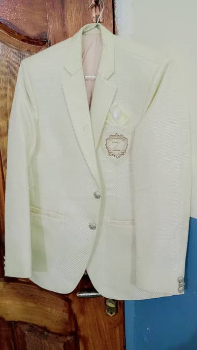 Fancy dress Cout imported fabric half white Color