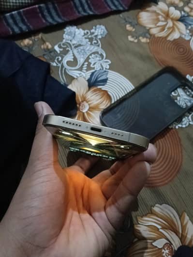 i phone 12 pro max golden  color