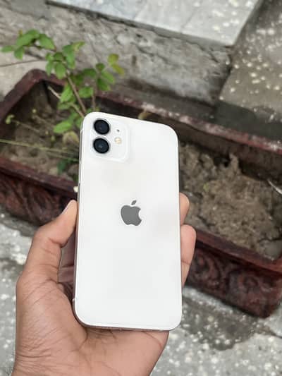 Iphone 12 Pta