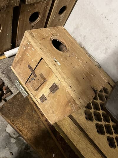 Love bird and Cocktail boxes