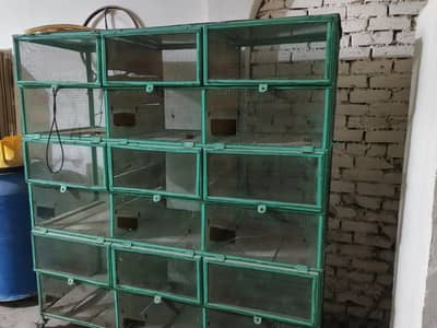 Cage / Birds cage / Parrot Cage / Pinjra / Iron Cage / پرندوں کا پنجر