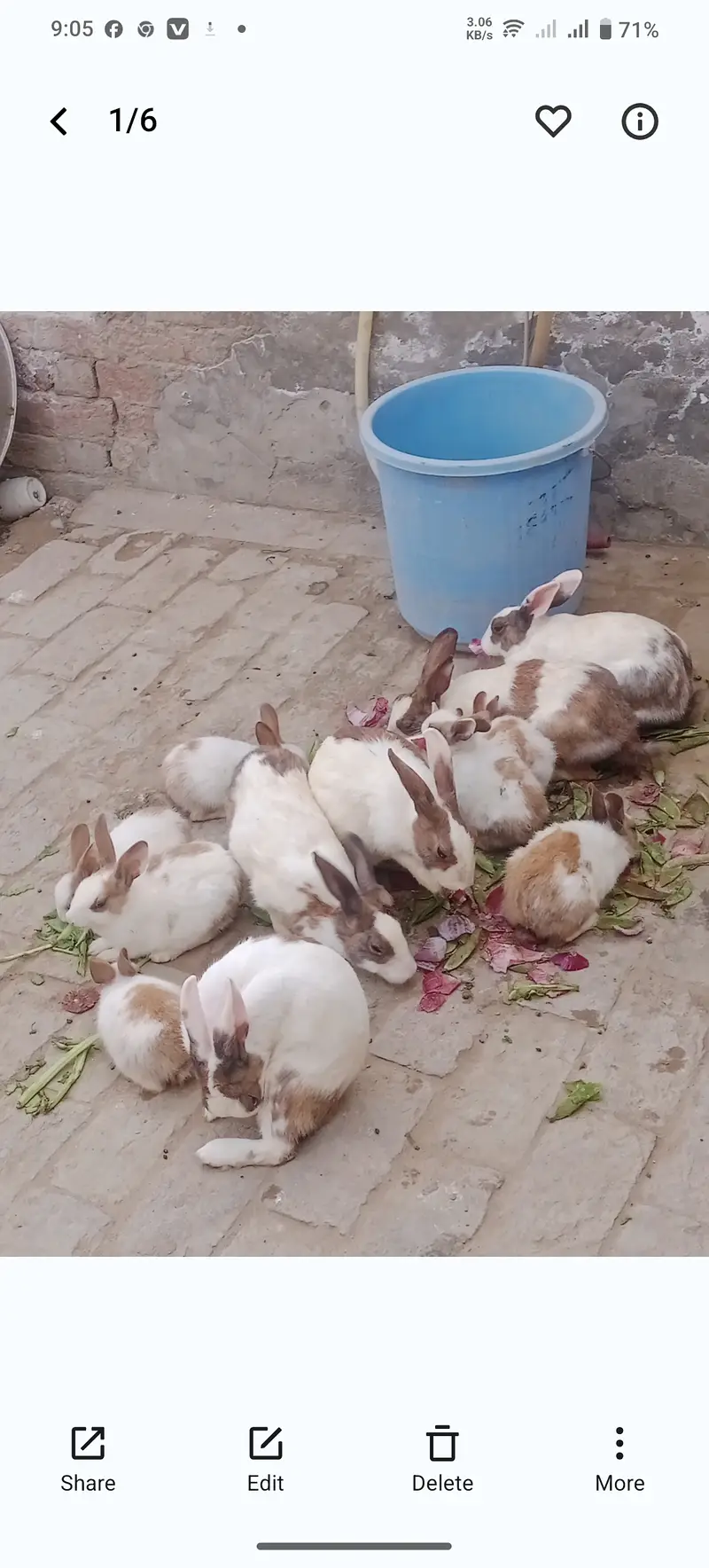 Ak joora 1500 ka hy jis bhai ny lany hoo mansab Price ma lay sakhta h — photo 2