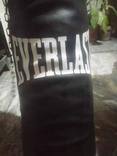 EverLast Boxing Bag In just 2k