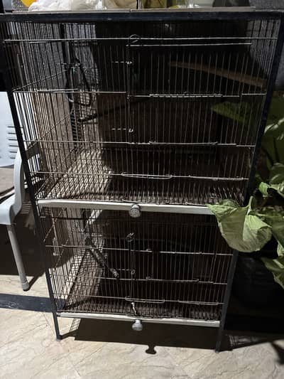 Parrot cage