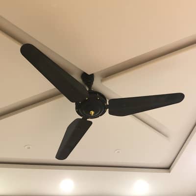 Ceiling Fan