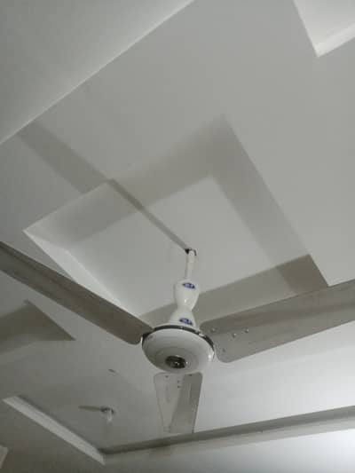 65 Slightly Ueed Pak Fans