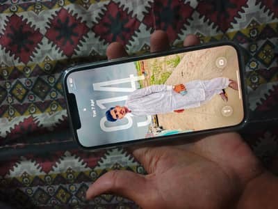 Iphone 12 pro max total genuine