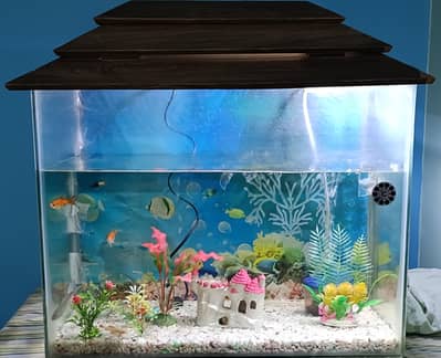 Fish Aquarium 4 Sale