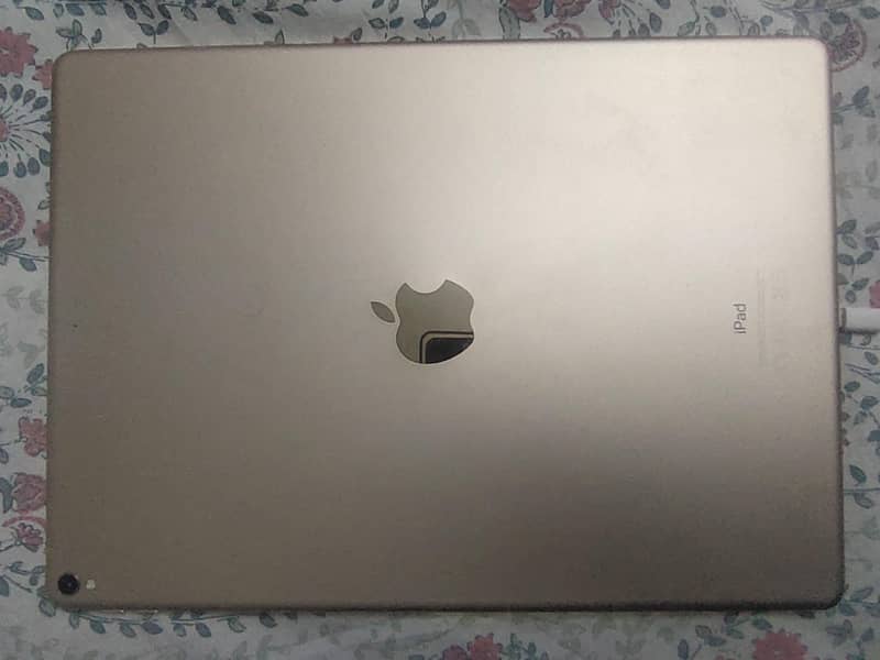Ipad Pro 0