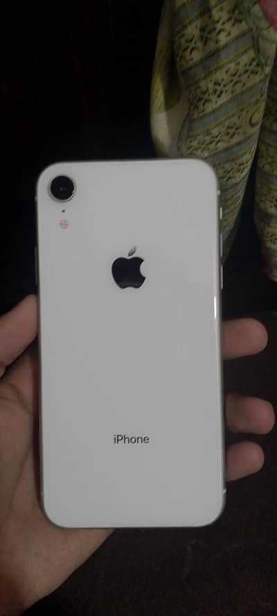 iPhone xr  PTa approve