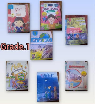 Aziz e Millat School Course