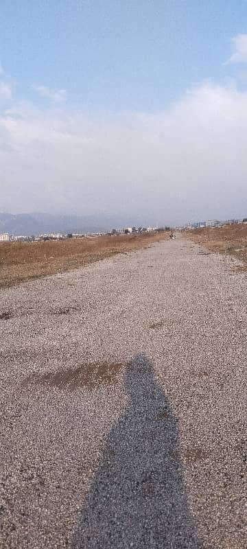 Sun face Plot With Back Open 1