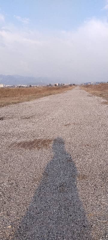 Sun face Plot With Back Open 2