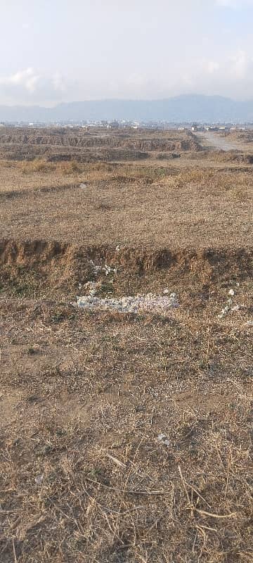 Sun face Plot With Back Open 3