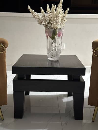 Coffee Tables wooden Set of Two