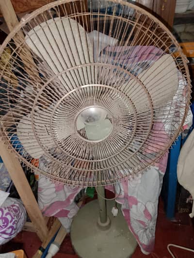 Pedestal Fan
