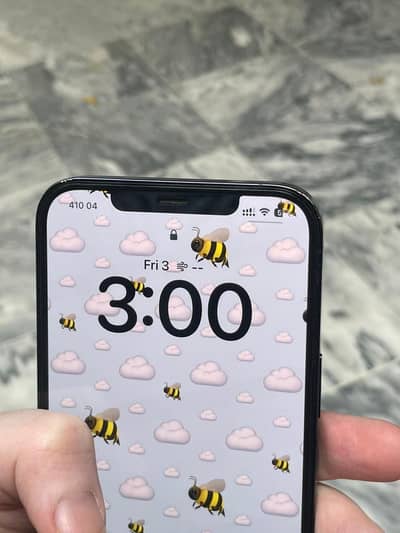 12 pro max Dual PTA approved