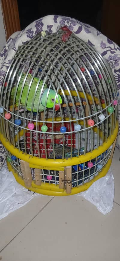 freecage only 20000 parrot