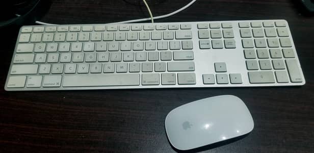 Wireless Mouse & Wired Keyboard (Officiall Apple)