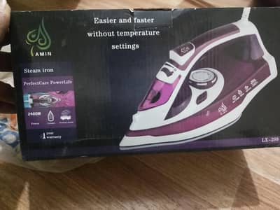 steam iron