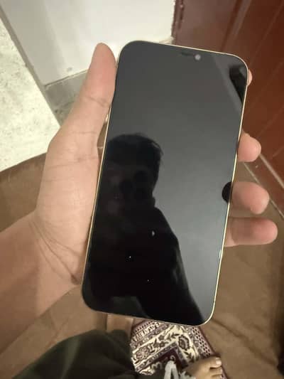 IPHONE 12 PRO MAX PTA APPROVED
