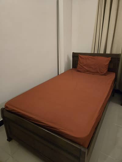 2 Brand New Wooden Single Beds + 2 Mattresses