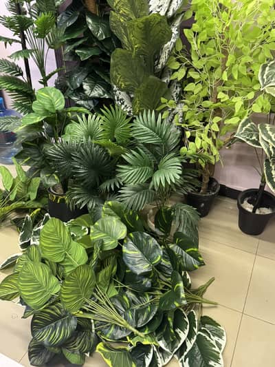 Artificial plants / decoration /
