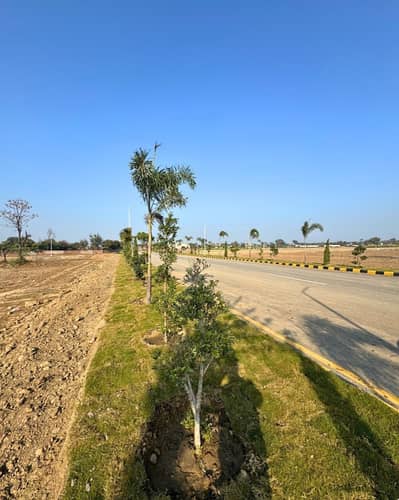 Lahore Organic Farms Society Located on Main Barki Road, Lahore.
