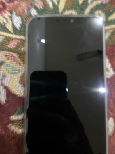 iPhone 12 Pro Max panal