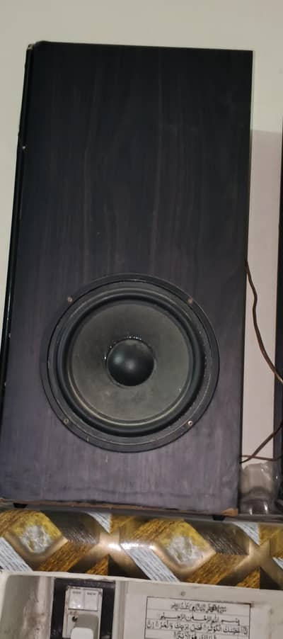 audionic classic 6+