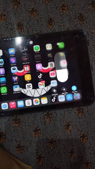 ipad mini 5 64gb