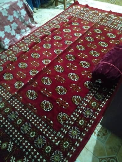 Elegant Home Carpet with Gao takyas