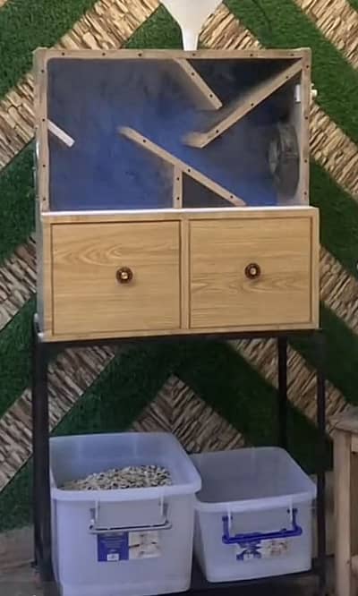 Seed cleaner machine