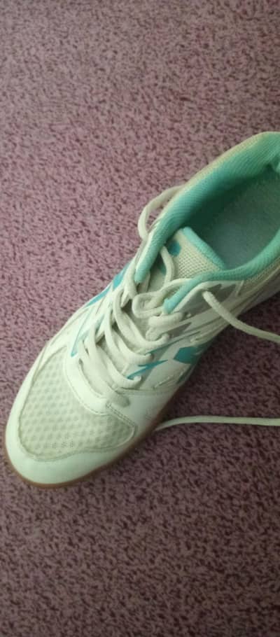 professional non slippy court shoes. size: 42 and 43