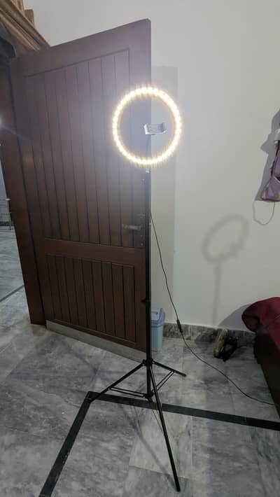 ring light with stand 10fet