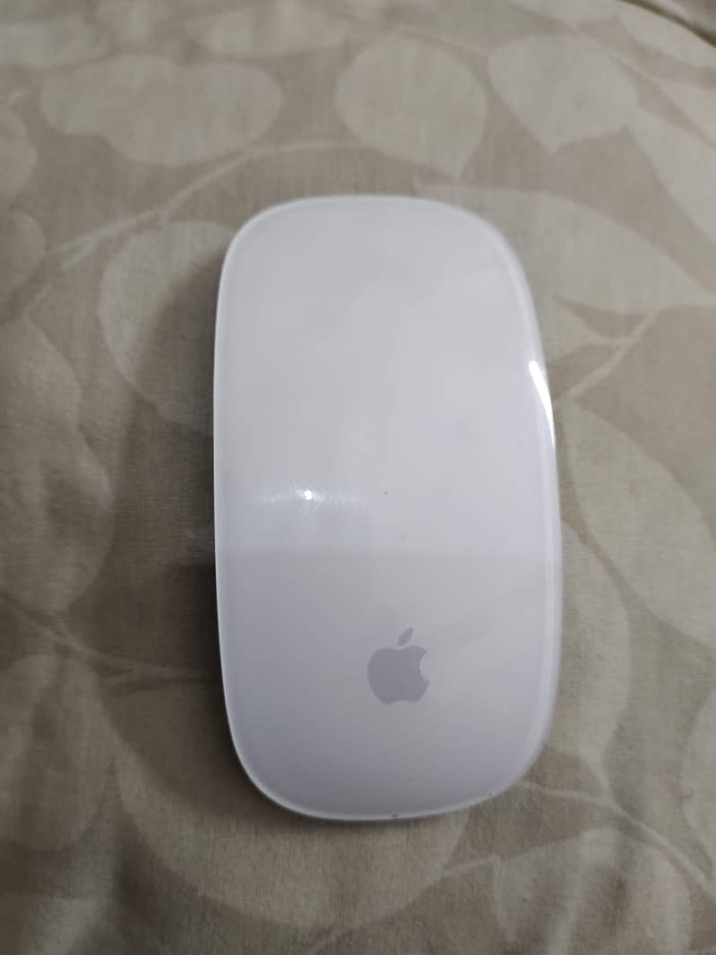 Apple Magic Mouse 2 0