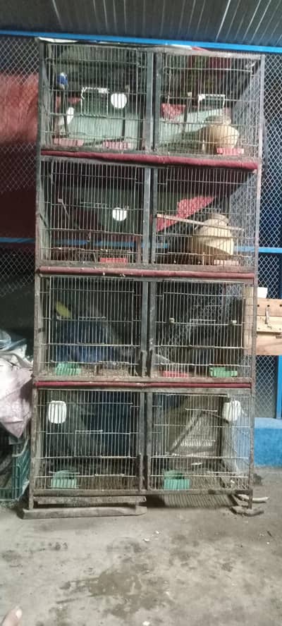 cage for sell
