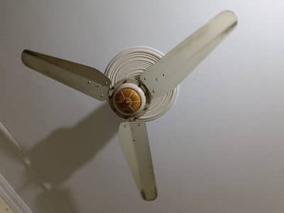 Lahore Fans (8 fans)