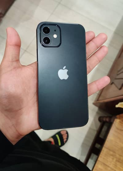 Iphone 12 Lush Condition 10/10