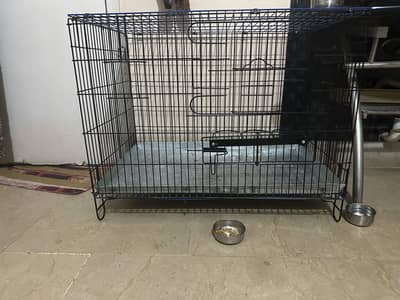Cage new only 10000