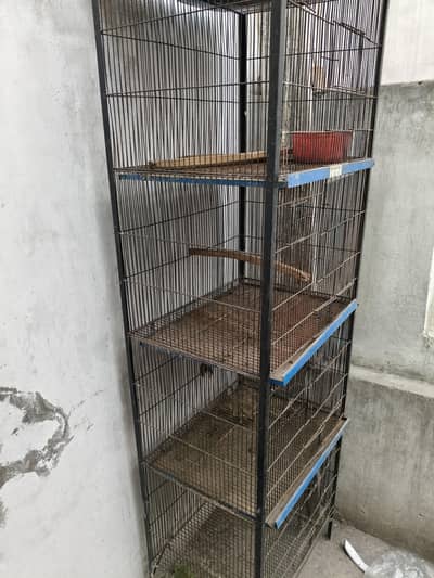 pinjra 4 khanon Wala